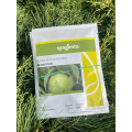 Агрессор F1 семена капусты б/н среднепоздней 110-120 дней 3-5 кг окр. (Syngenta)